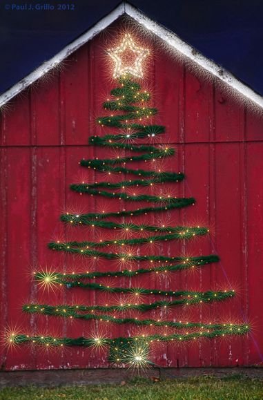Outdoor Christmas Tree Motif