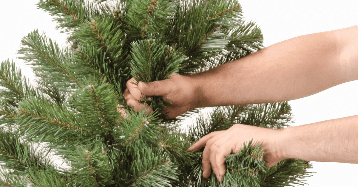 Unpacking and opening up the arms of an artificial tree